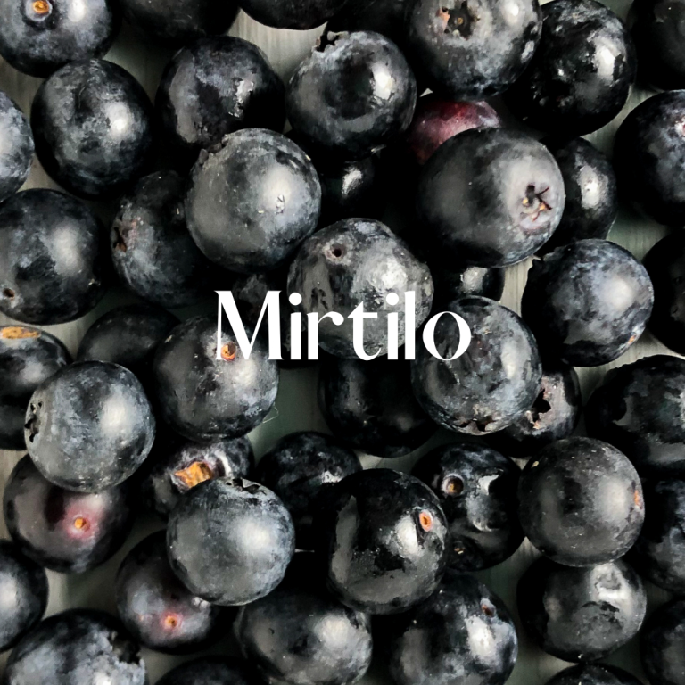 Mirtilos 🫐 – Saiba o efeito que têm no nosso corpo! 📽Receita no interior