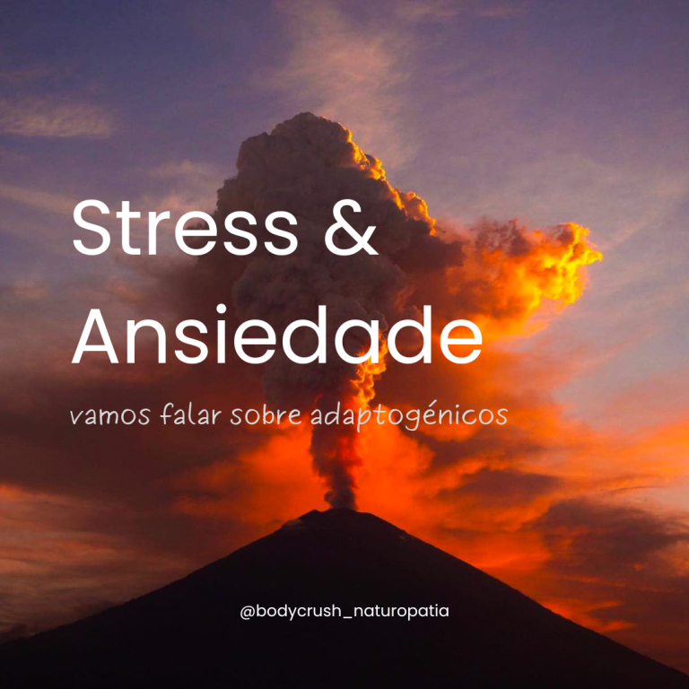 Stress & Ansiedade | vamos falar de adaptogénicos